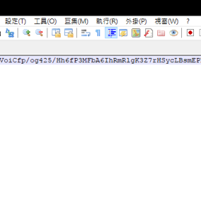 Punisher 綠色免安裝版+全CG解鎖 (RAR 131MB/ACT)