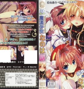H GAME なのはDX Premium Edition 下載(Android)