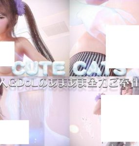 CUTE CAT 新人GDoLのあまあま全力ご奉仕っ