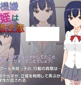不機嫌な姪は取扱注意 (308MB RAR)